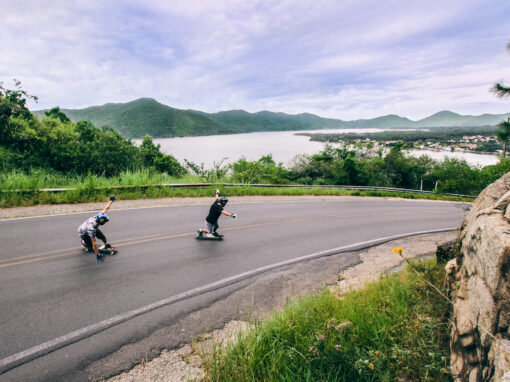 Longboard Skate